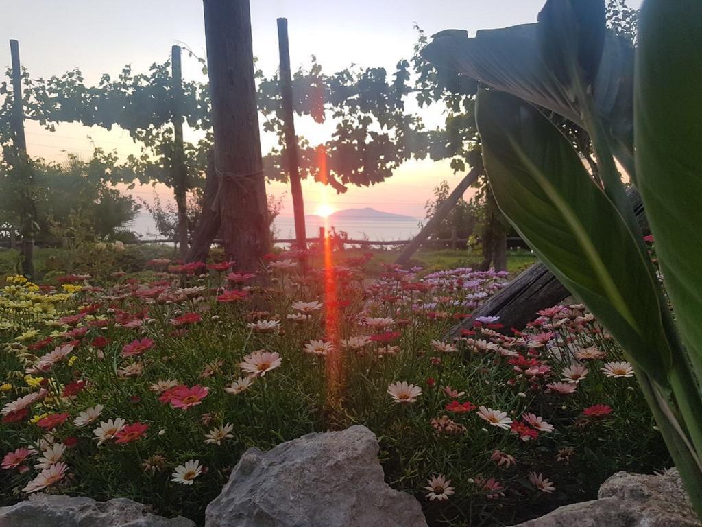 Agriturismo Del Sole Anacapri Kültér fotó