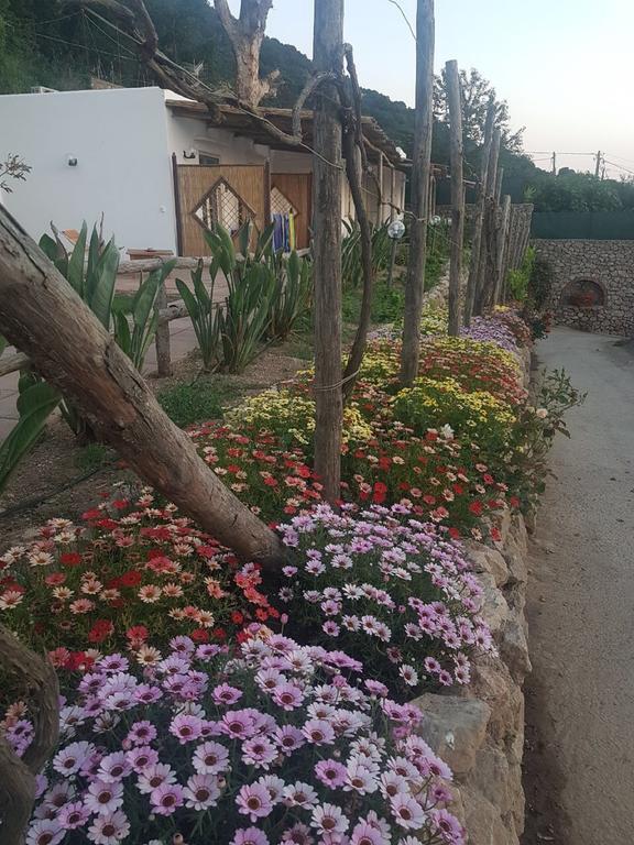 Agriturismo Del Sole Anacapri Kültér fotó