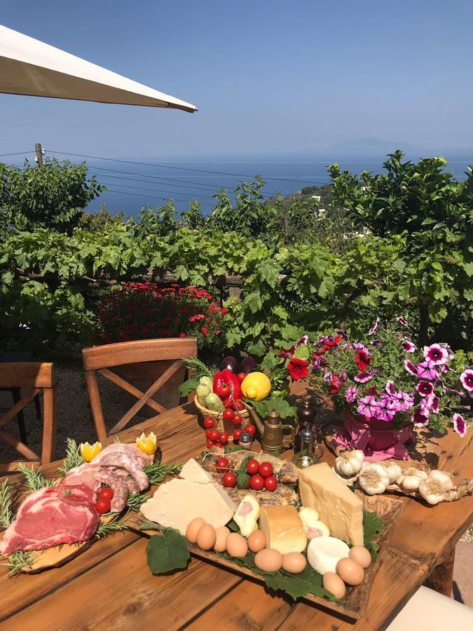 Agriturismo Del Sole Anacapri Kültér fotó